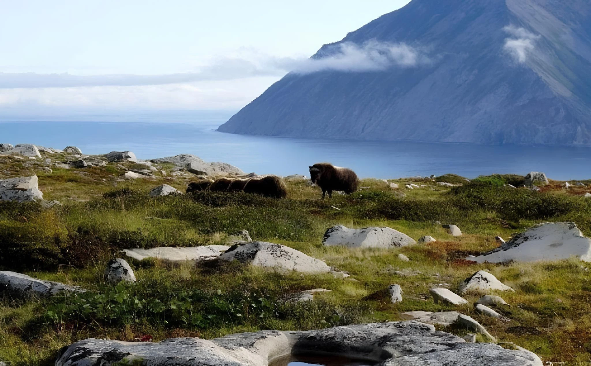 Магадан: город на краю мира, где сливаются история и природа