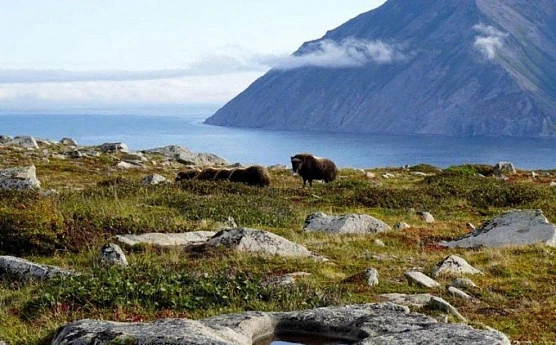 Магадан: город на краю мира, где сливаются история и природа