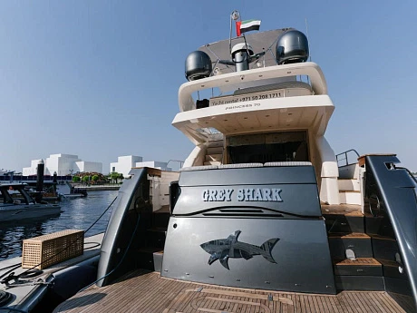 Princess 70 GREY SHARK