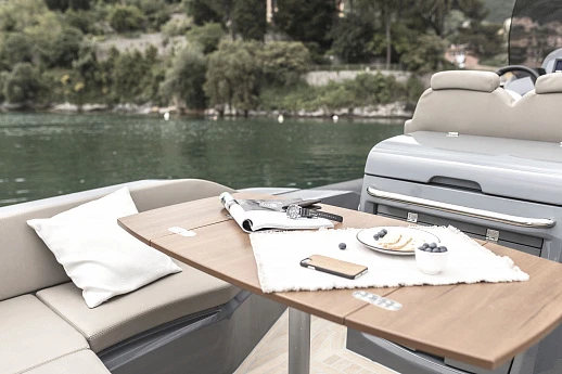 Яхта Strider 900  8