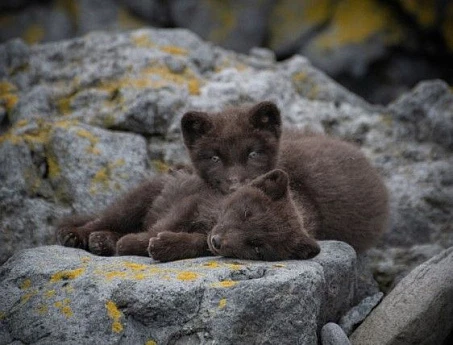 Посетите Архипелаг тысячи островов
