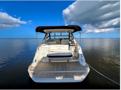 Sea Ray 320 Sundancer yacht 2019 2