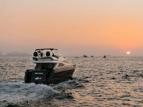 Princess 70 GREY SHARK