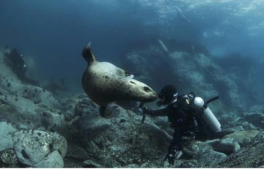 Посетите Архипелаг тысячи островов