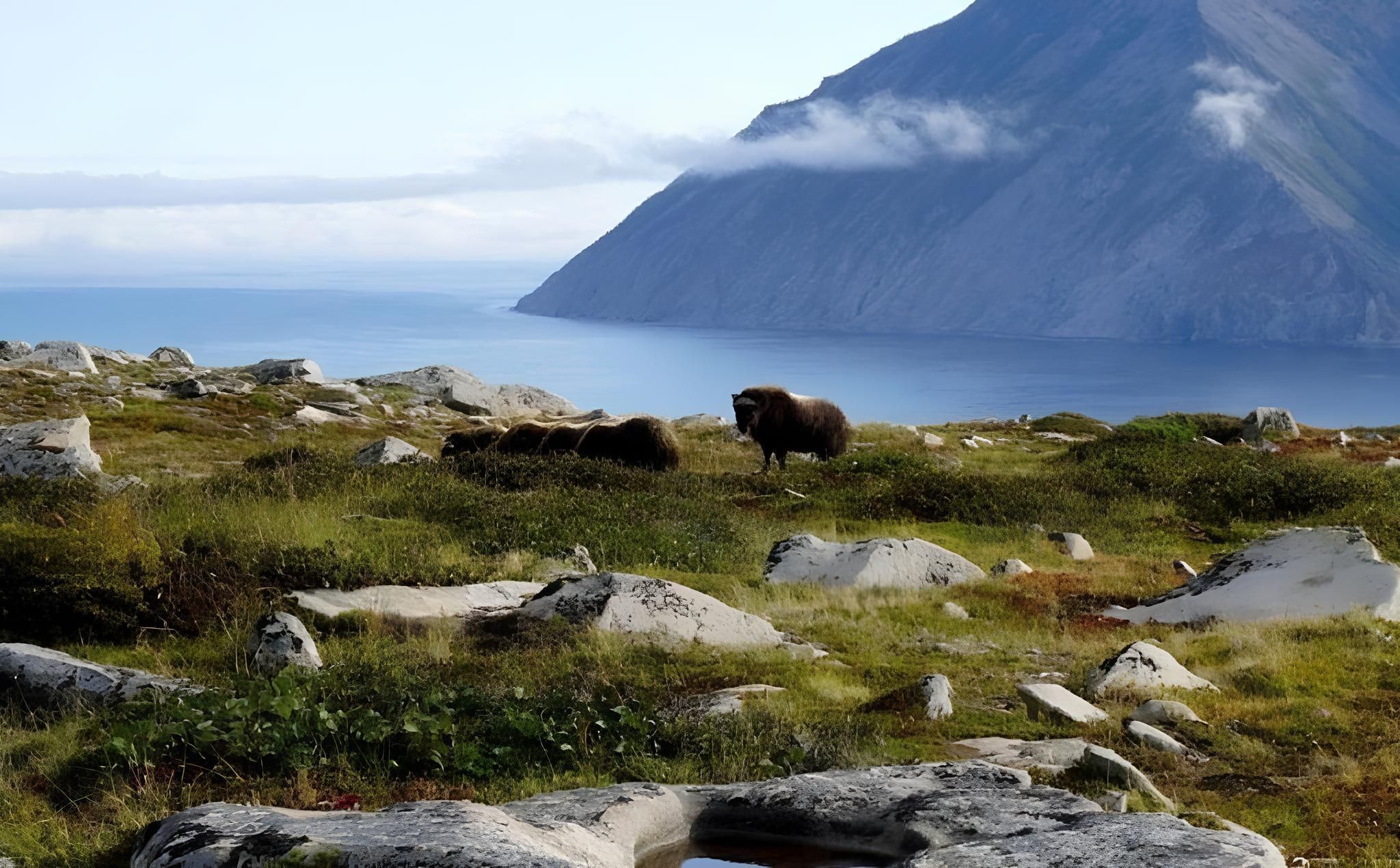 Магадан: город на краю мира, где сливаются история и природа