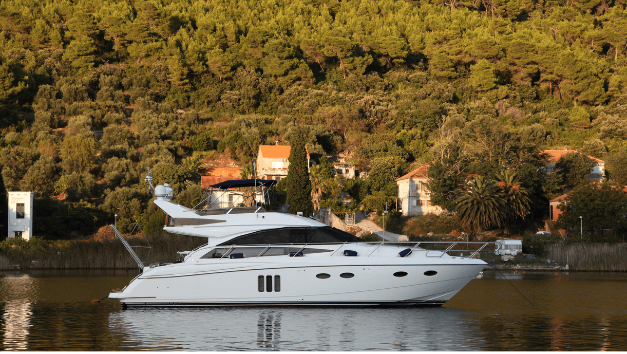 Princess 54